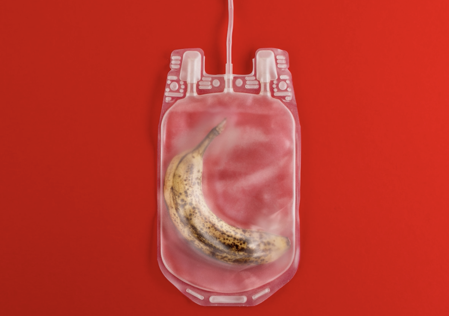 Scopri di più sull'articolo Anche il sangue ha una data di scadenza